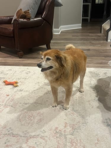 Review by Kathleen V.