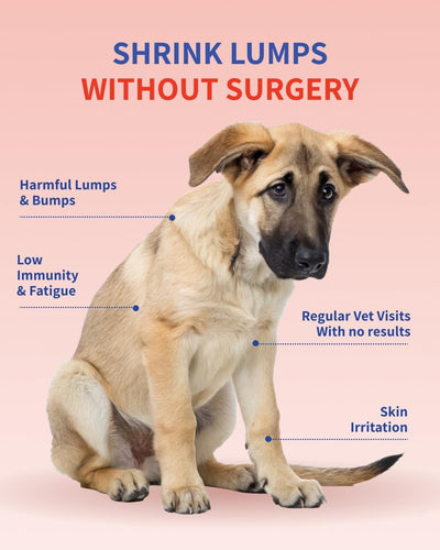 Purely Paw Probiotics Turkey Tail+