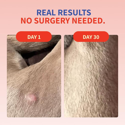 Purely Paw Probiotics Turkey Tail+